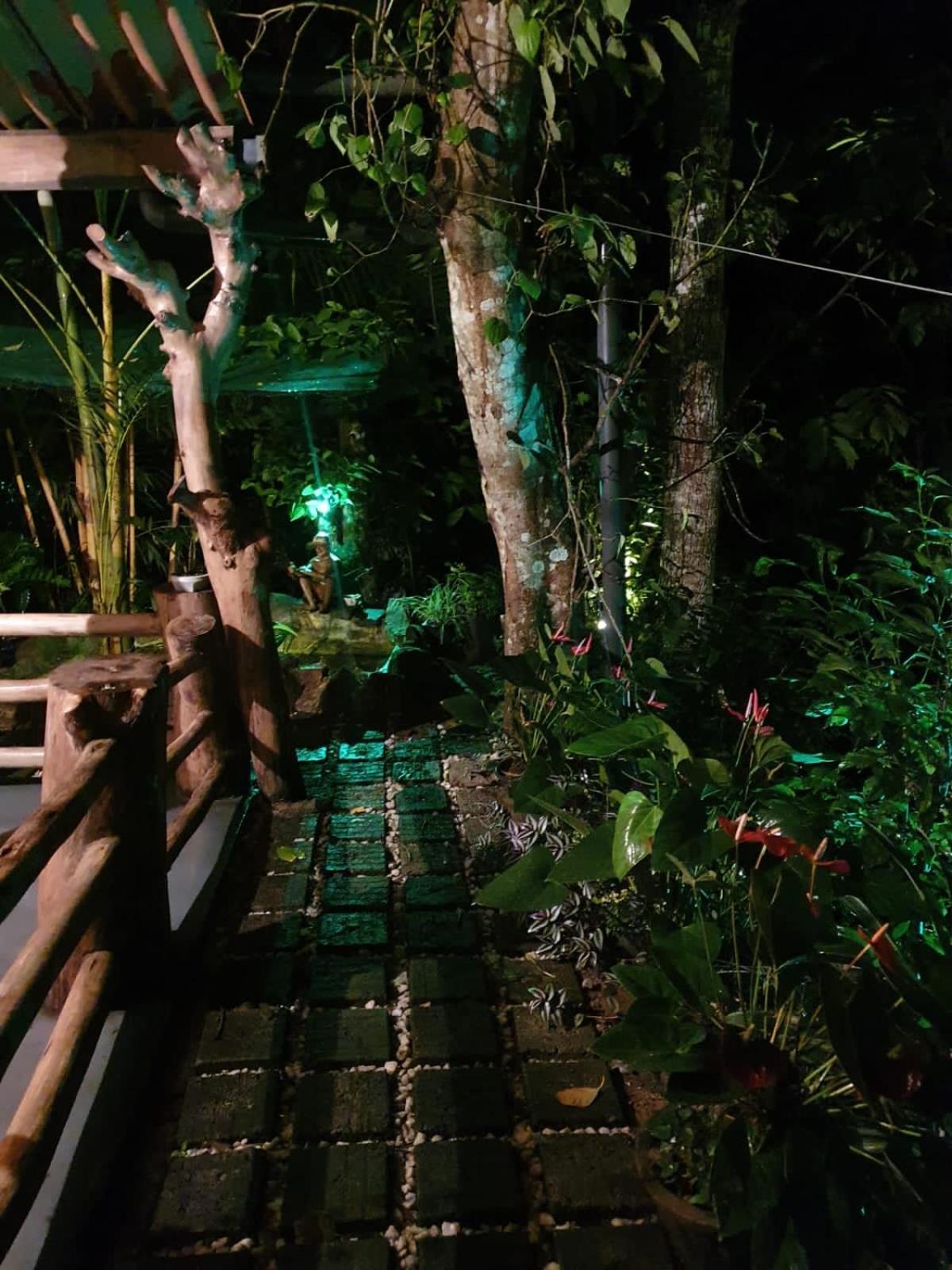 Treetops אלה מראה חיצוני תמונה