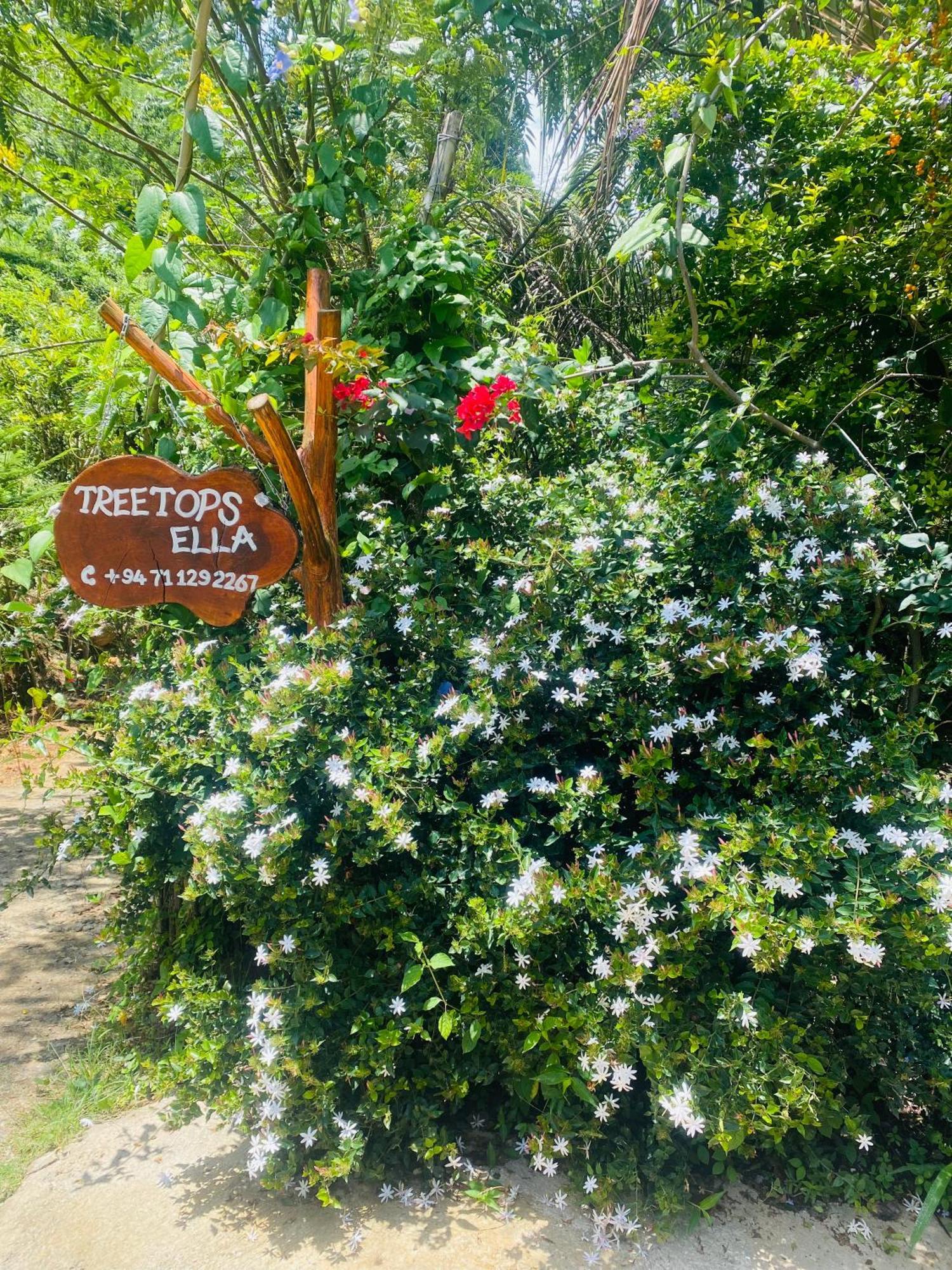 Treetops אלה מראה חיצוני תמונה